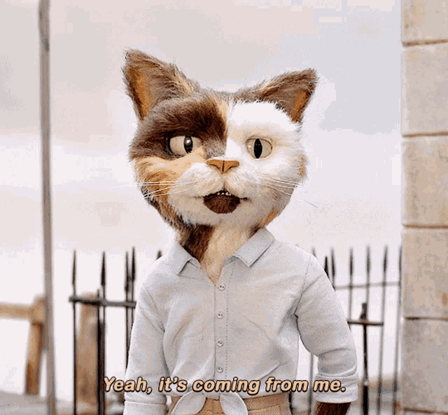 The House Cat GIF - The House Cat GIFs