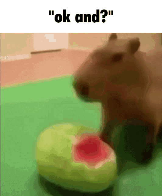 Ok And Capybara GIF - Ok And Capybara Watermelon GIFs