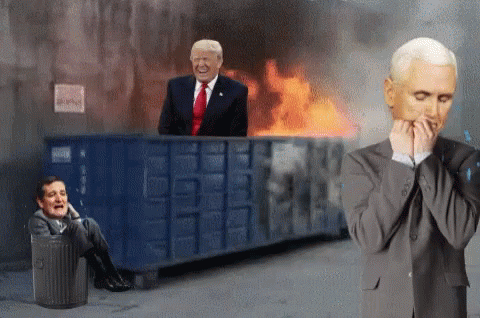 Trump Dumpster GIF - Trump Dumpster Fire GIFs