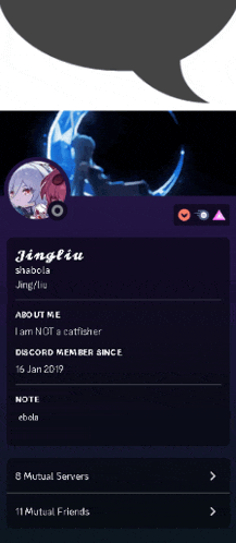 a screenshot of a person 's discord account