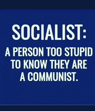 a blue sign that says socialist a person too stupid to know they are a communist