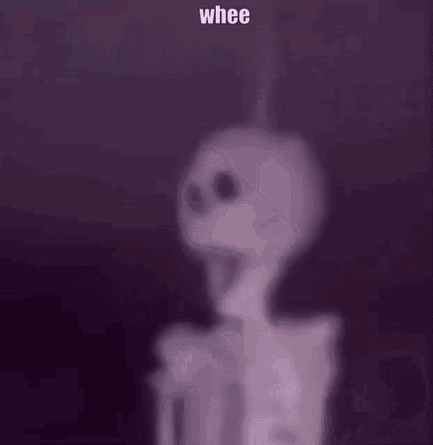 Whee Skeleton GIF - Whee Skeleton GIFs