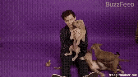 a man is sitting on the floor holding a puppy in his lap .