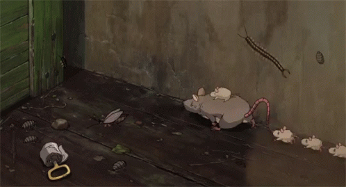 Cleaning Rats GIF - Cleaning Rats GIFs