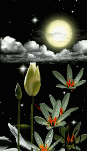 Flowers Moon GIF - Flowers Moon Clouds GIFs