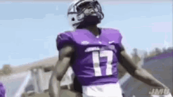 a football player is wearing a purple jersey with the number 17 on it .