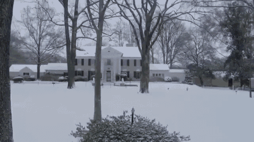 By Now I Should Be Used To The Cold GIF - Snow GIFs