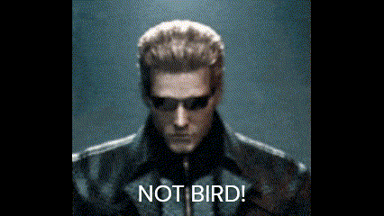 a man wearing sunglasses and a leather jacket says not bird .