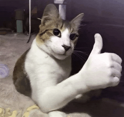 a cat is giving a thumbs up sign with its paw .