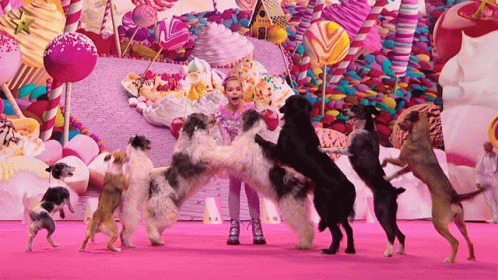 Dogs Tricks GIF - Dogs Tricks In Formation GIFs