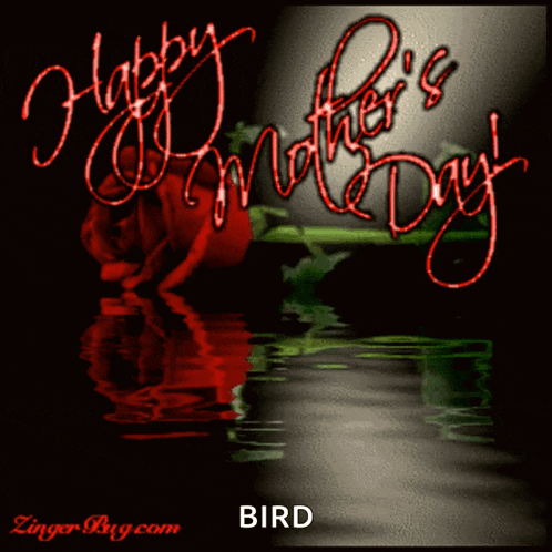 a happy mother 's day greeting with a red rose