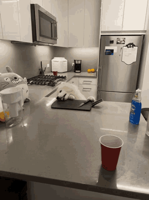 a dog laying on a cutting board next to a red cup