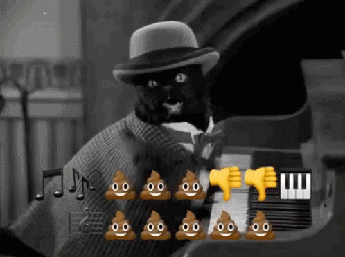 Piano Cat GIF - Piano Cat Salem GIFs