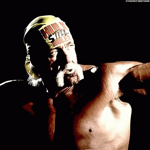 Hulk Hogan Wwe GIF - Hulk Hogan Wwe Wrestling GIFs
