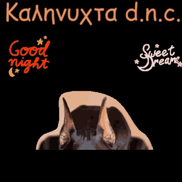 a picture of a dog with the words " good night " and " sweet dreams " below it