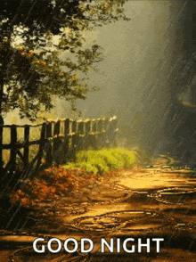 a picture of a path in the rain with the words good night on it