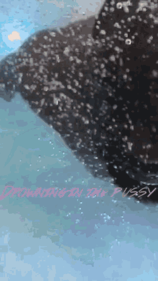 Drowning Pussy GIF - Drowning Pussy GIFs