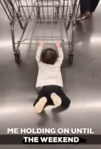Holding On Till The Weekend GIF - Holding On Till The Weekend GIFs