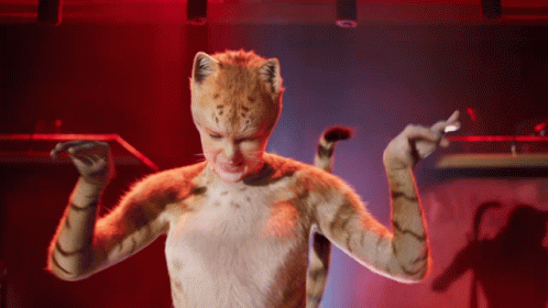 Cats Meow GIF - Cats Meow Yes GIFs