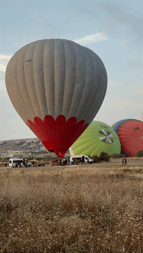 Hot Air Balloon GIF - Hot Air Balloon Balloon GIFs