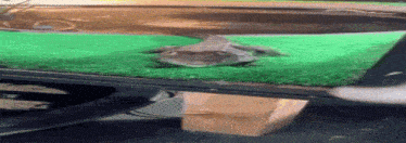 a lizard is sitting on a green mat on top of a table