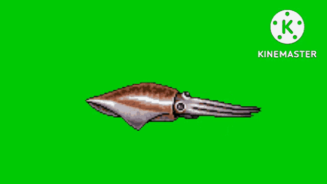 an animated squid on a green screen with a white k on the bottom right