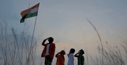 Salute Respect GIF - Salute Respect India Flag GIFs