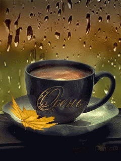 Coffee Rain GIF - Coffee Rain Mood GIFs