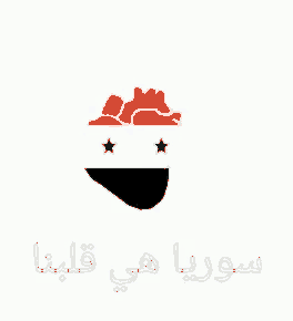 a drawing of a heart with the flag of syria on it