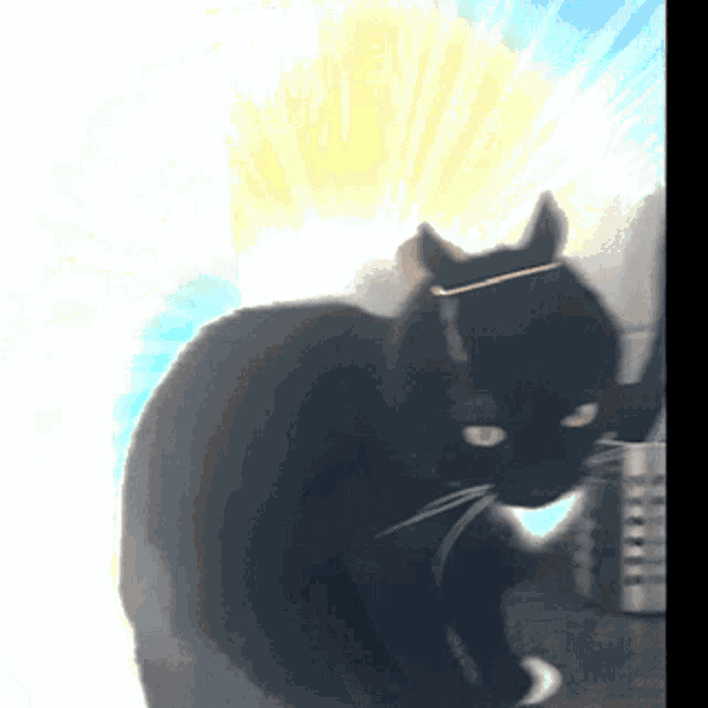Cat Unlimited GIF - Cat Unlimited Power GIFs