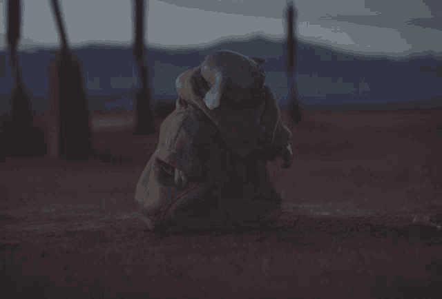 a stuffed animal with a hood is sitting on the ground in the desert