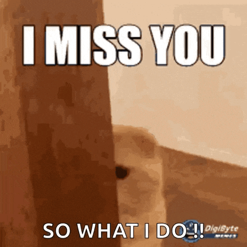 a picture of a dog with the words " i miss you so what i do "