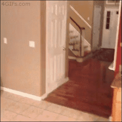 a person is standing in a hallway next to a staircase .