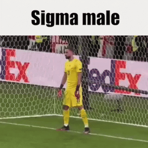 Sigma Male Sigma GIF