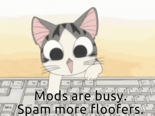 Post Floofers Post Cats GIF - Post Floofers Post Cats Post Dogs GIFs