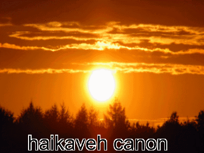 Haikaveh Kavetham GIF - Haikaveh Kavetham Kaveh GIFs