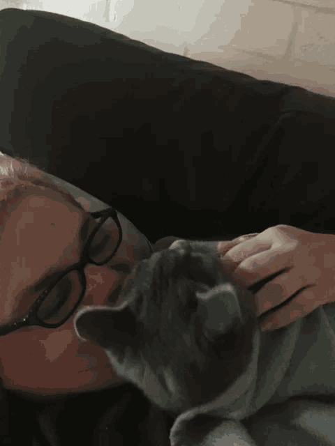 a man wearing glasses is laying on a bed with a gray cat