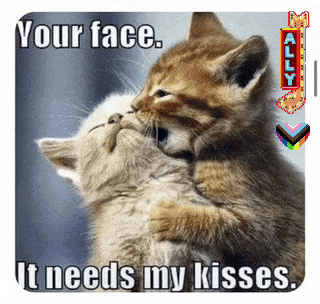 two kittens hugging and kissing with the caption " your face it needs my kisses "