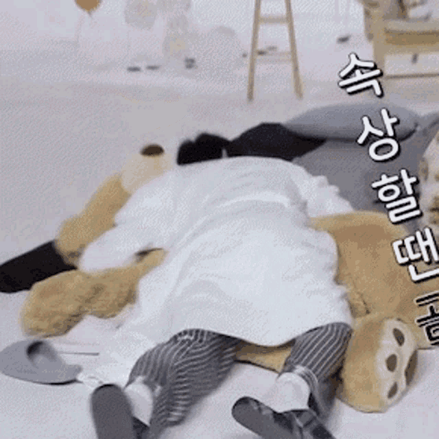 a person is laying on the floor next to a teddy bear with asian writing on it .