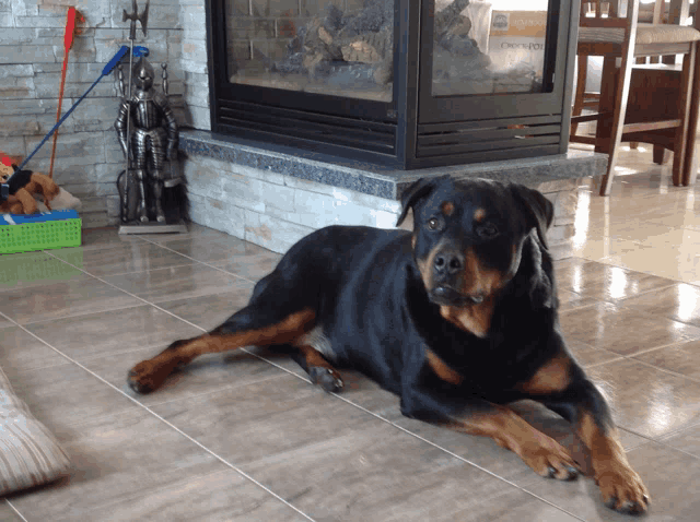 a dog laying on a tiled floor in front of a fire