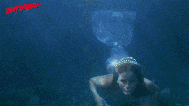 Swimming Looking GIF - Swimming Looking Stare GIFs