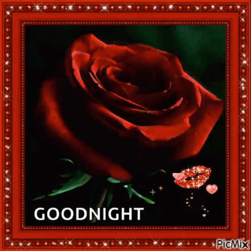 Goodnight Sparkles GIF - Goodnight Sparkles Rose GIFs