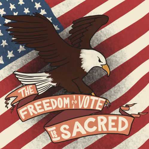 Freedom To Vote Is Sacred Eagle GIF - Freedom To Vote Is Sacred Eagle American Eagle GIFs