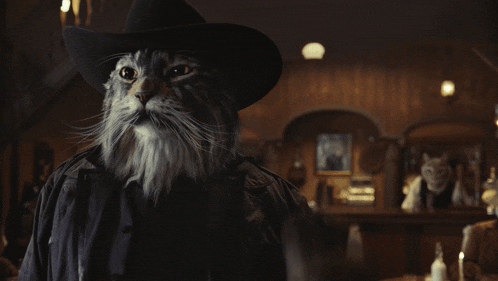 a cat wearing a cowboy hat and jacket