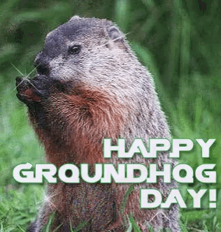 a groundhog sitting in the grass with the words happy groundhog day below it