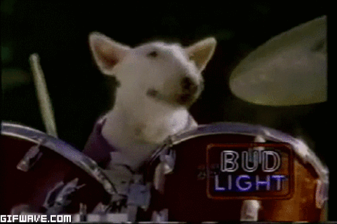 Drum Dog GIF - Drum Dog Bud GIFs