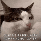also me if i see u with anything but water .