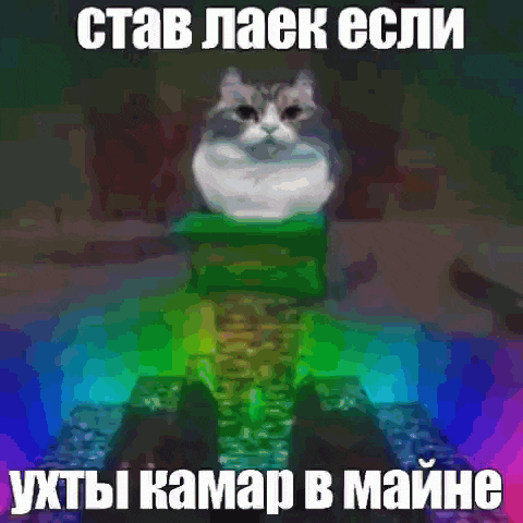 a picture of a cat with a rainbow colored background and a caption in a foreign language