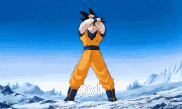 a picture of a cartoon character with the word pyt written below him