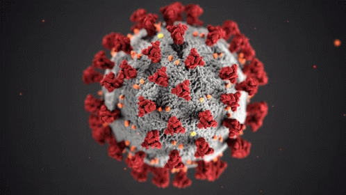 Coronavirus GIF